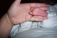 Picture_0247.jpg