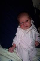 Picture_0253.jpg