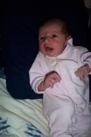 Picture_0255.jpg