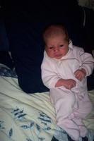 Picture_0256.jpg