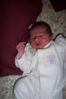 Picture_0258.jpg